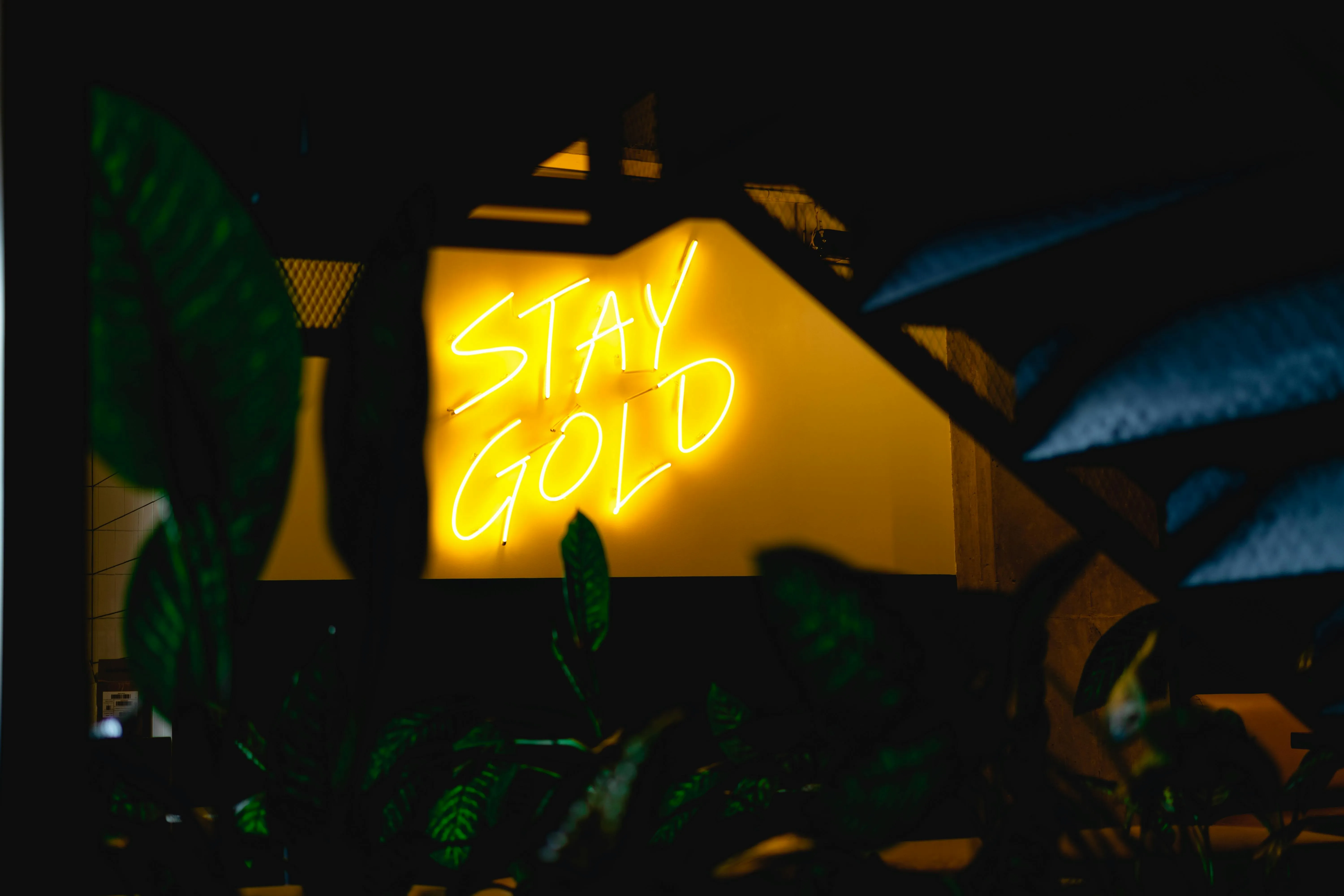 a yellow neon sign that reads stay gold for are neon lights plasma